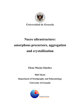 Nacre Ultrastructure: Amorphous Precursors, Aggregation and Crystallization