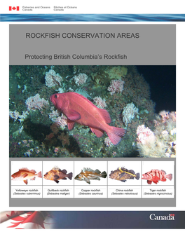 Rockfish Conservation Areas