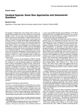 Cerebral Hypoxia: Some New Approaches and Unanswered Questions