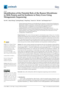 Identification of the Potential Role of the Rumen Microbiome in Milk