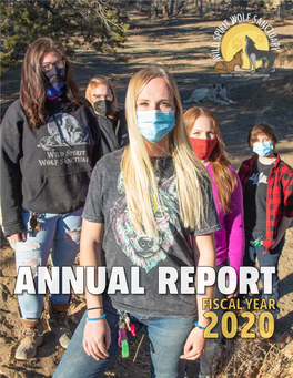 Fiscal Year 2020 Annual Report