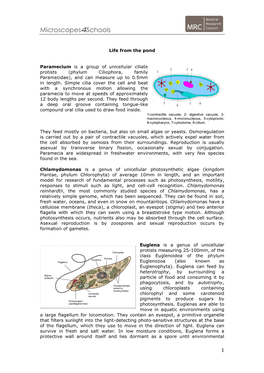 Microscopes4schools