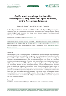 Pdf Terada K, Asakawa TO, Nishida H (2006B) Fossil Woods from the Loreto Formation of Las Minas, Magallanes (XII) Region, Chile