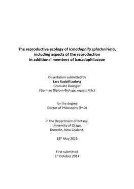 The Reproductive Ecology of Icmadophila Splachnirima, Including Aspects of the Reproduction in Additional Members of Icmadophilaceae