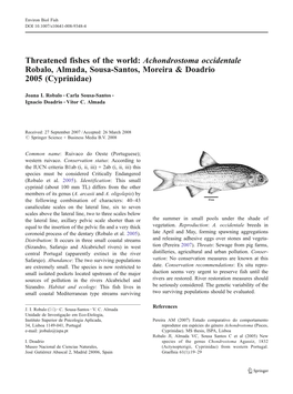 Threatened Fishes of the World: Achondrostoma Occidentale Robalo, Almada, Sousa-Santos, Moreira & Doadrio 2005 (Cyprinidae)