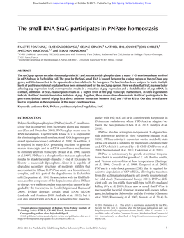 The Small RNA Srag Participates in Pnpase Homeostasis