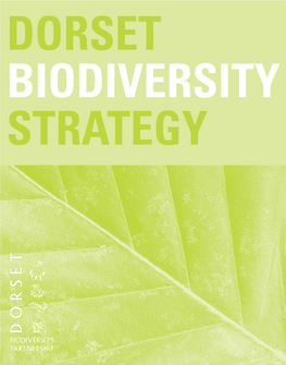 Dorset Biodiversity Strategy 2003