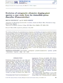 BIOLOGICAL Evolution of Ontogenetic Allometry Shaping Giant Species: a Case Study from the Damselfish Genus Dascyllus (Pomacentr