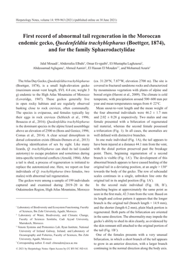 First Record of Abnormal Tail Regeneration in the Moroccan Endemic Gecko, Quedenfeldtia Trachyblepharus (Boettger, 1874), and for the Family Sphaerodactylidae