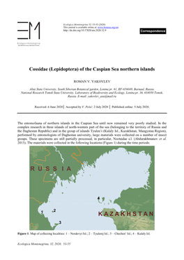 Cossidae (Lepidoptera) of the Caspian Sea Northern Islands