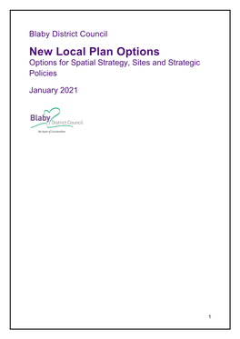 Blaby District New Local Plan Options Document 2021