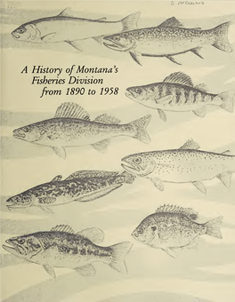 A History of Montana's Fisheries Division from 1890-1958