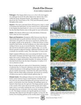 Dutch Elm Disease a Non-Native Invasive Wilt