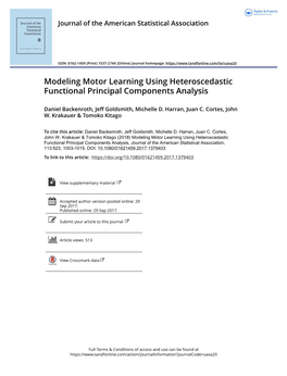 Modeling Motor Learning Using Heteroscedastic Functional Principal Components Analysis