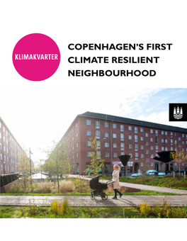 Copenhagen's First Climate Resilient Neighbourhood