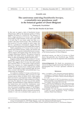 The Carnivorous Semi-Slug Daudebardia Brevipes, a Remarkable New Greenhouse Snail in the Botanical Garden of Ghent (Belgium) (Gastropoda, Oxychilidae)