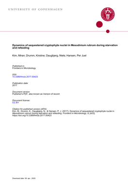 Dynamics of Sequestered Cryptophyte Nuclei in Mesodinium Rubrum During Starvation and Refeeding