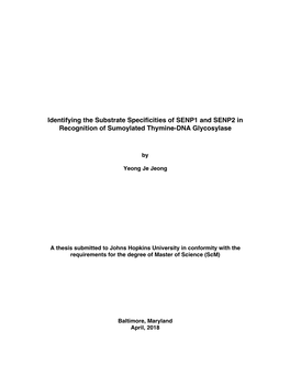 Identifying the Substrate Specificities of SENP1 and SENP2 In