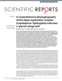 A Comprehensive Phylogeography of the Hyles