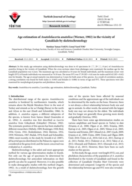 Age Estimation of Anatololacerta Anatolica (Werner, 1902) in the Vicinity of Çanakkale by Skeletochronology