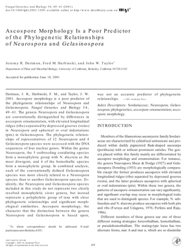 Ascospore Morphology Is a Poor Predictor of the Phylogenetic Relationships of Neurospora and Gelasinospora