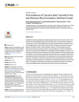 In the Late Miocene Bira Formation, Northern Israel