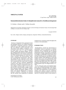 Immunohistochemical Study of Subepidermal Connective of Molluscan Integument