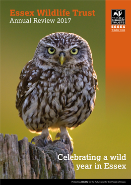 Celebrating a Wild Year in Essex Essex Wildlife