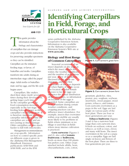 Identifying Caterpillars in Field, Forage, and Horticultural Crops