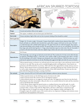 African Spurred Tortoise