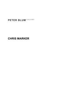 Chris Marker Peter Blum Gallery