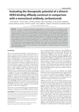 Evaluating the Therapeutic Potential of a Dimeric HER3-Binding Affibody