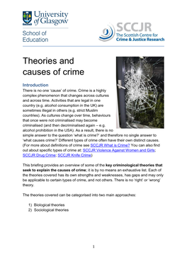 Theories and Causes of Crime