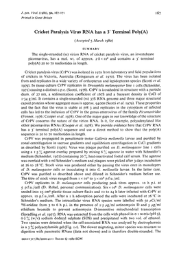 Cricket Paralysis Virus RNA Has a 3' Terminal Poly(A)