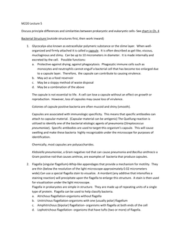 M220 Lecture 5 Discuss Principle Differences