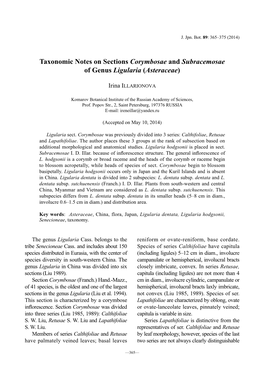 Taxonomic Notes on Sections Corymbosae and Subracemosae of Genus Ligularia (Asteraceae)