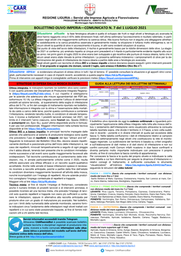 BOLLETTINO OLIVO IMPERIA—COMUNICATO N. 7 Del 1 LUGLIO 2021