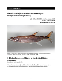 Pike Characin (Acestrorhynchus Microlepis) Ecological Risk Screening Summary