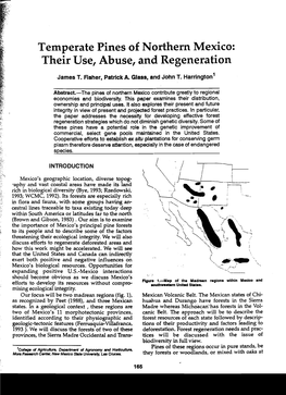 Temperate Pines of Northern Mexico: Their Use, Abuse, and Regeneration