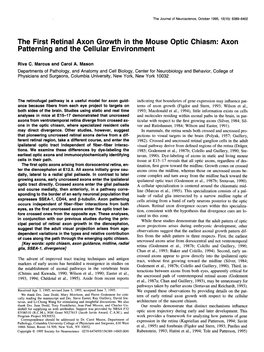 The First Retinal Axon Growth in the Mouse Optic Chiasm: Axon Patterning and the Cellular Environment