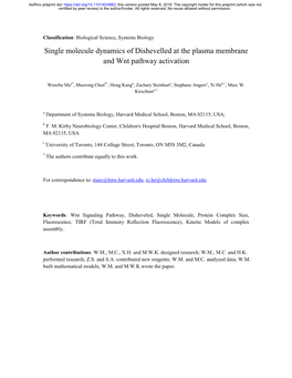 Single Molecule Dynamics of Dishevelled at the Plasma Membrane and Wnt Pathway Activation