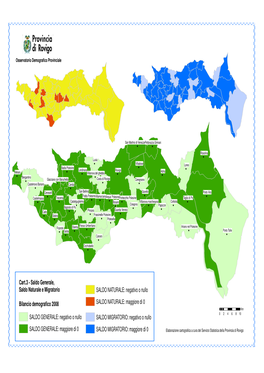 Saldo Naturale E Migratorio SALDO NATURALE: Negativo O Nullo