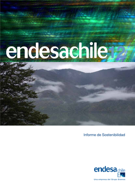 Endesa Sustainability Report 2012