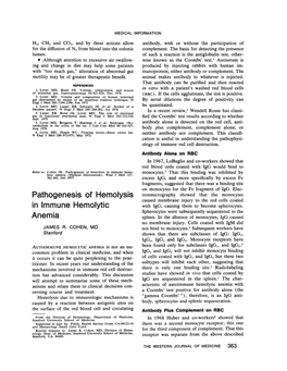 Pathogenesis of Hemolysis Anemia