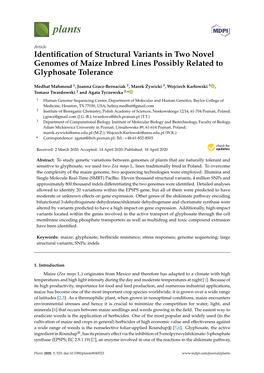 Identification of Structural Variants in Two Novel Genomes of Maize