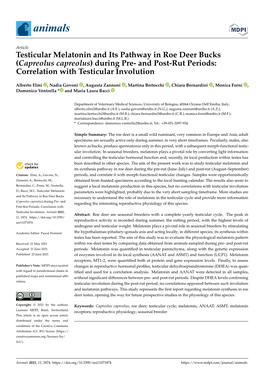 Testicular Melatonin and Its Pathway in Roe Deer Bucks (Capreolus Capreolus) During Pre- and Post-Rut Periods: Correlation with Testicular Involution