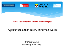 Agriculture and Industry in Roman Wales