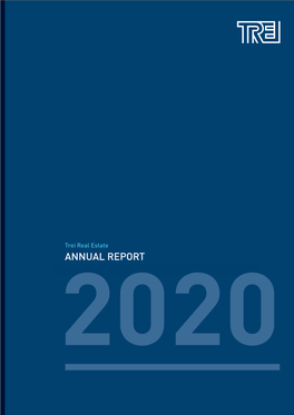 Trei Annual Report 2020