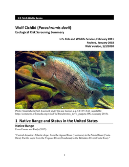 Parachromis Dovii Ecological Risk Screening Summary
