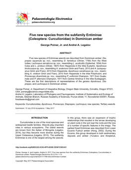 Five New Species from the Subfamily Entiminae (Coleoptera: Curculionidae) in Dominican Amber